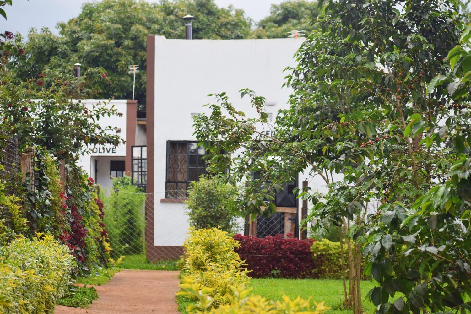 The Plantains Place Karatina Buitenkant foto